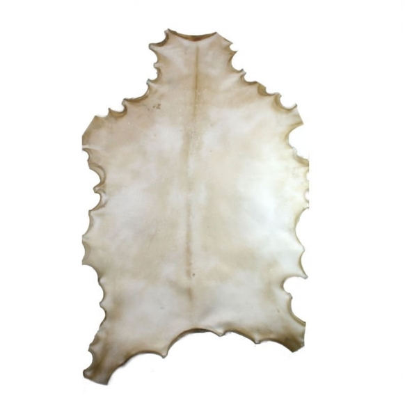 peau-parchemin-cuir
