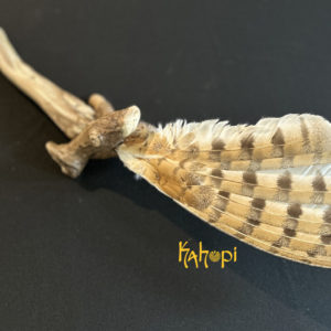 Plume