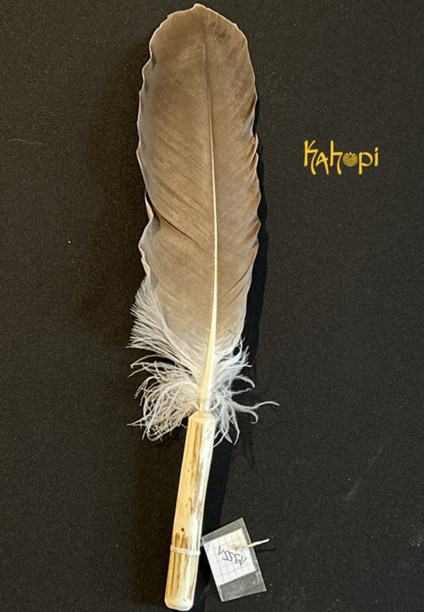 Plume de purification vautour 19551 #PlumeDePurification#chamanique #kahopi#chamanisme#chamane#SuisseRomande#RaphTattoo#Heyana#Ayin